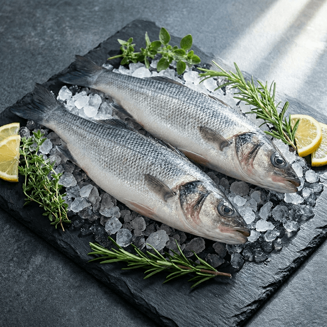 Ikan Siakap