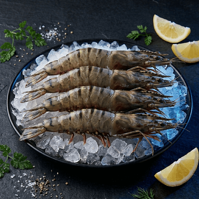 Udang - 2